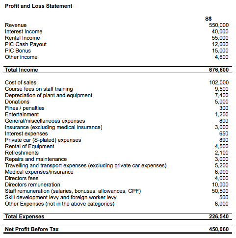 Profit and Loss Statement